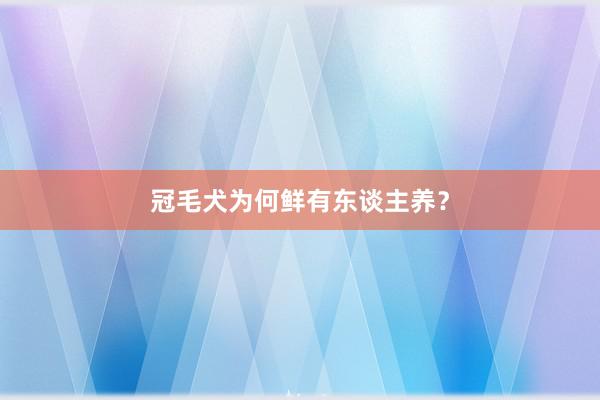 冠毛犬为何鲜有东谈主养？